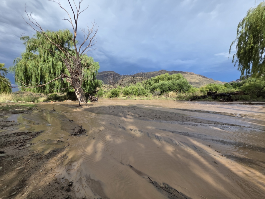 0 Bedroom Property for Sale in Middelburg Rural Eastern Cape